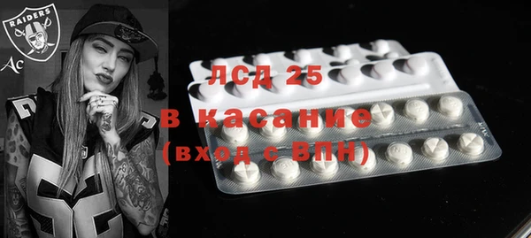 ПСИЛОЦИБИНОВЫЕ ГРИБЫ Горняк
