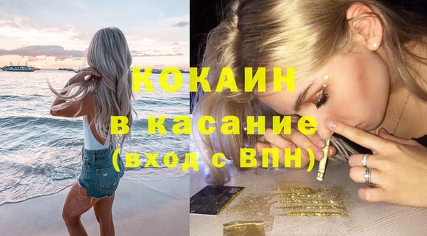 ПСИЛОЦИБИНОВЫЕ ГРИБЫ Горняк