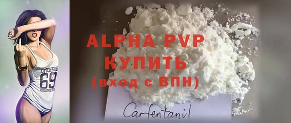 ПСИЛОЦИБИНОВЫЕ ГРИБЫ Горняк