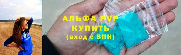 ПСИЛОЦИБИНОВЫЕ ГРИБЫ Горно-Алтайск