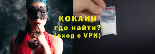 ПСИЛОЦИБИНОВЫЕ ГРИБЫ Вяземский