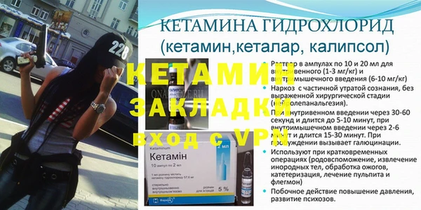 ПСИЛОЦИБИНОВЫЕ ГРИБЫ Горно-Алтайск