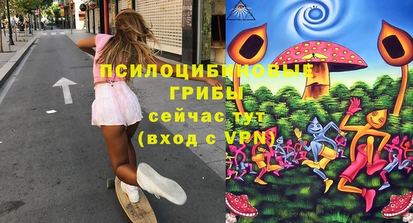 ПСИЛОЦИБИНОВЫЕ ГРИБЫ Вяземский