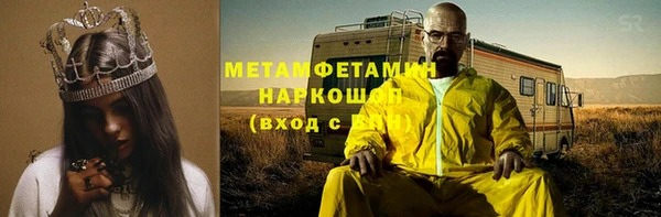 ПСИЛОЦИБИНОВЫЕ ГРИБЫ Вяземский
