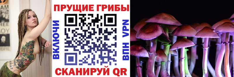купить наркотик  Ачхой-Мартан  Галлюциногенные грибы GOLDEN TEACHER 